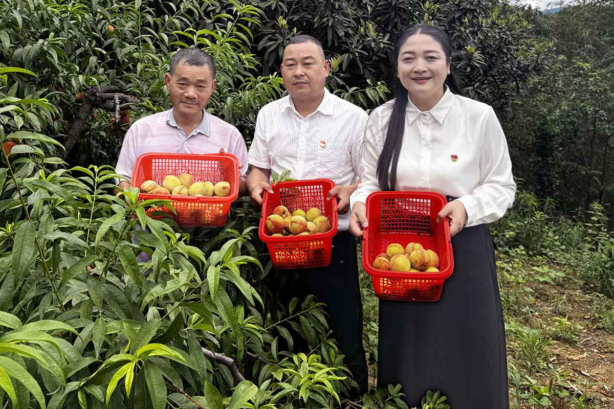 微信图片_20250729164453 微信图片_20250729164453