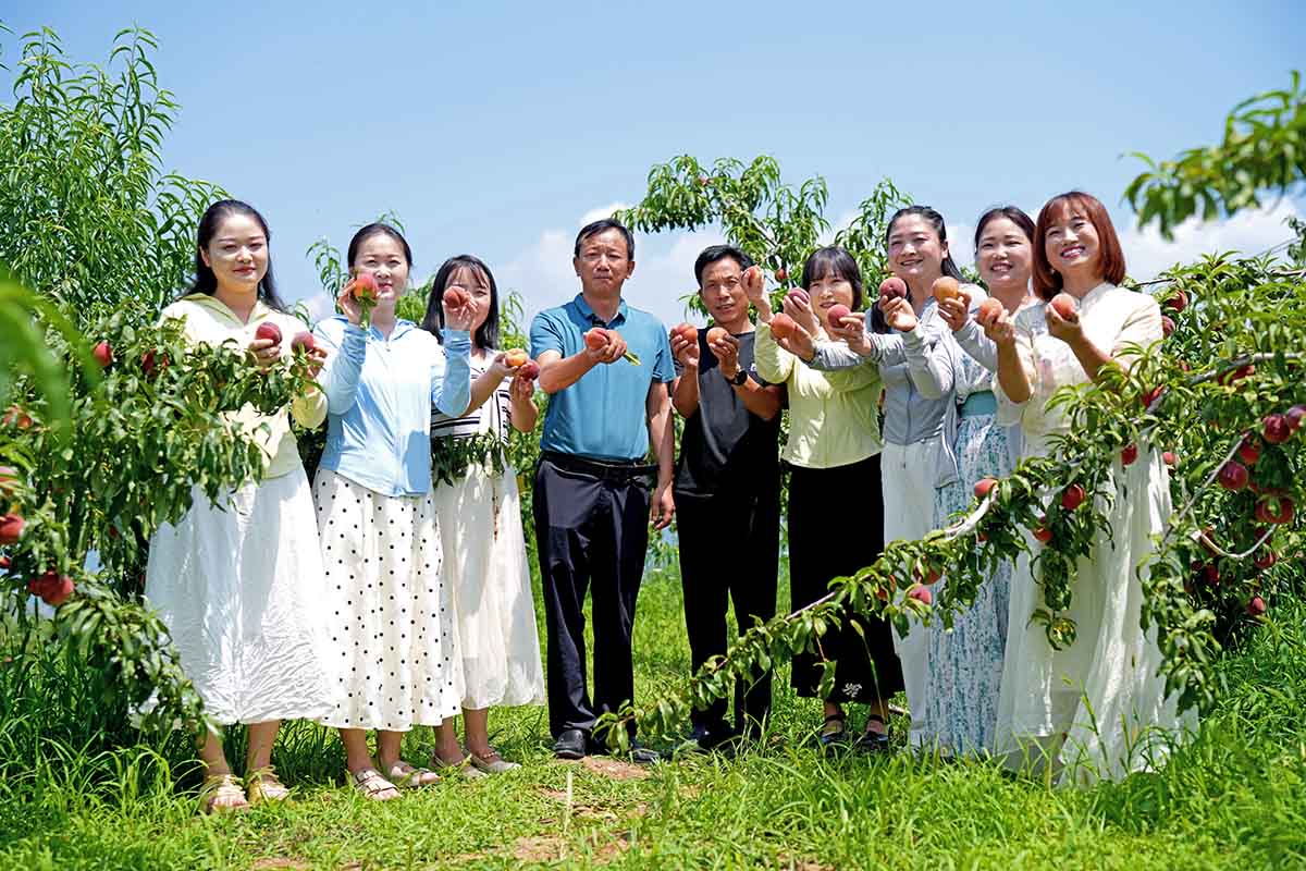 微信图片_20250729164442 微信图片_20250729164442