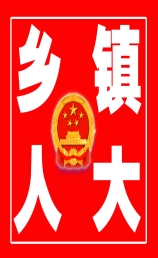 晏坝镇人大代表密切联系群众显成效