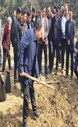 紫荆镇人大代表下沉一线 履职尽责助力春耕生产 