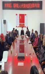 叶坪镇人大召开代表向选民述职评议会