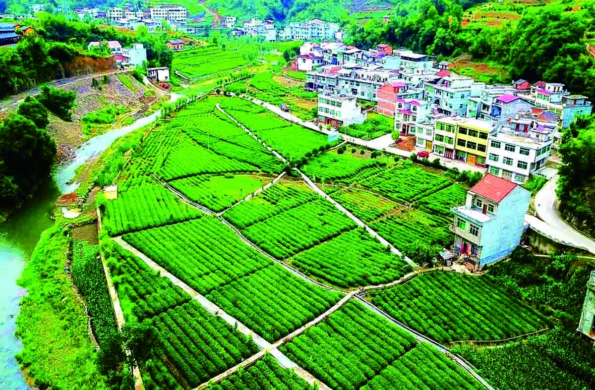 微信图片_2025-08-21_172030_382