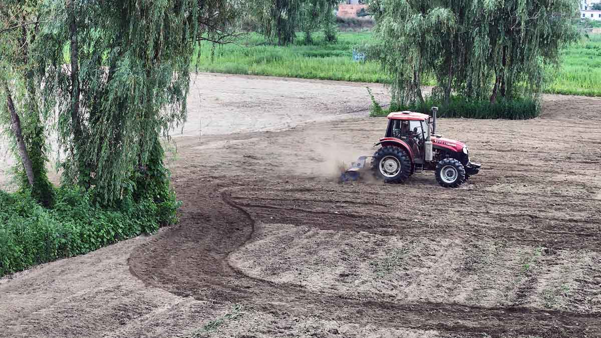 微信图片_20250826175217_78_117 微信图片_20250826175217_78_117