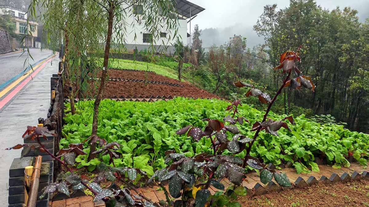 微信图片_20251215135942_5_298