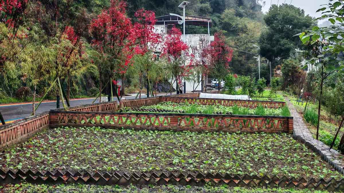 微信图片_20251215135943_7_298